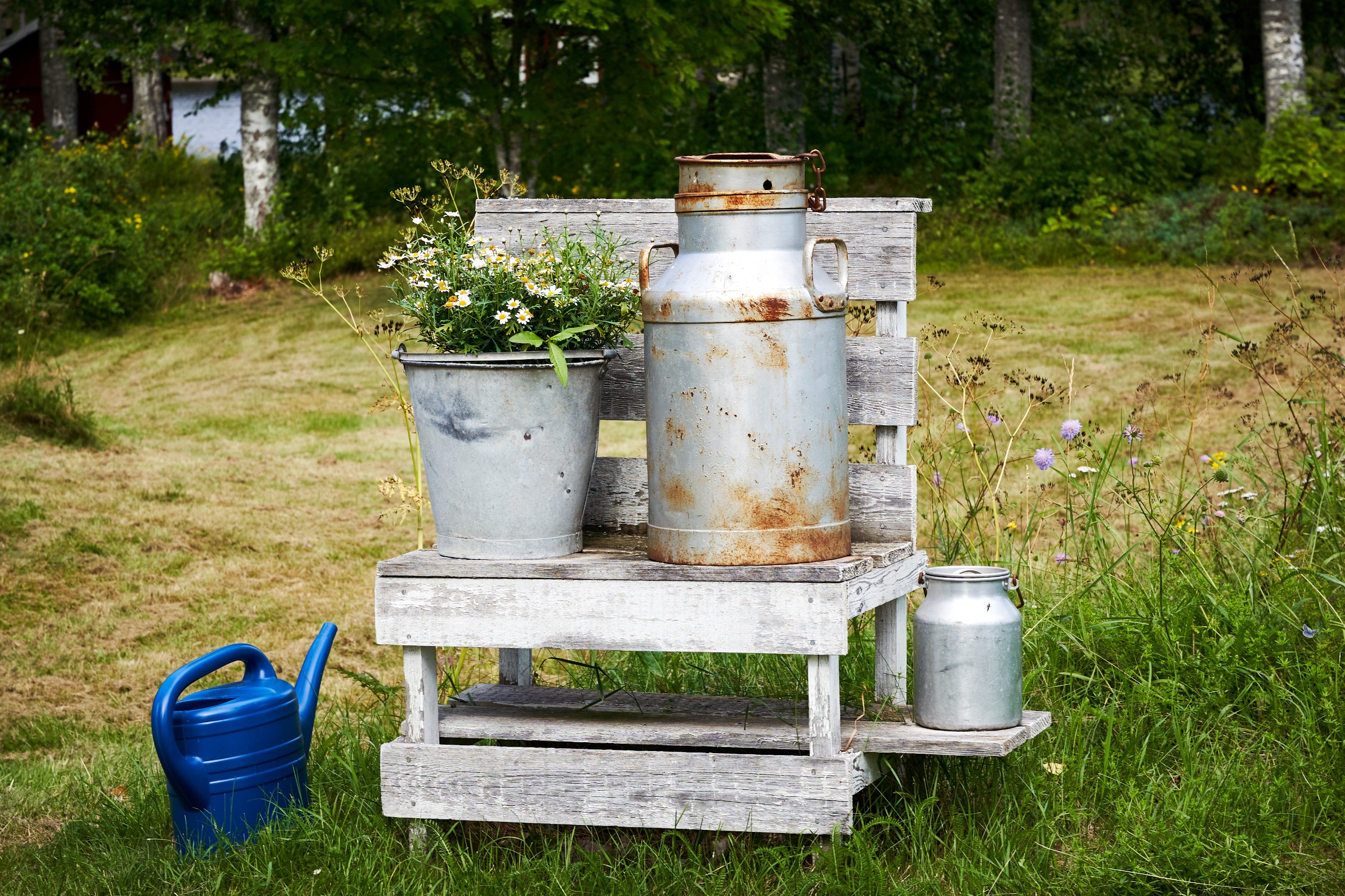 2022 07 22 Sverige 0642